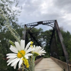 Meet your Posher, Audrey